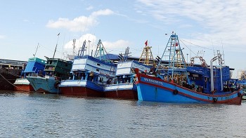 Bà Rịa – Vũng Tàu: Các cảng cá siết chặt quản lý tàu thuyền ngoại tỉnh