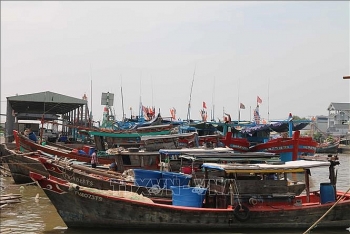 Trà Vinh: Đầu tư gần 300 tỷ đồng nâng cấp cảng cá Định An