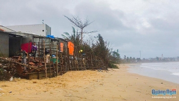 Quảng Ngãi: Dân bất an vì biển xâm thực mạnh