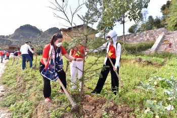 ha giang trong 10000 cay xanh tren cac tuyen du lich vung bien
