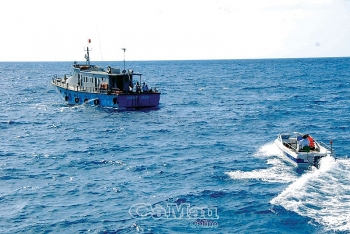 ca mau tau ca phai bat thiet bi giam sat hanh trinh 2424