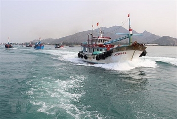 Ninh Thuận: Đẩy mạnh đánh bắt xa bờ góp phần bảo vệ chủ quyền biển đảo