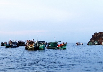 ca mau bat buoc lap dat thiet bi giam sat tau ca