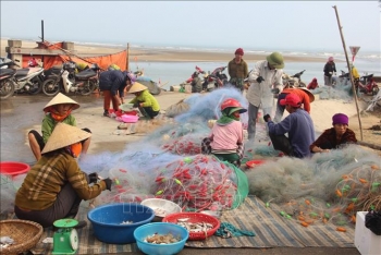 ngu dan ha tinh trung mua ca chao dac san