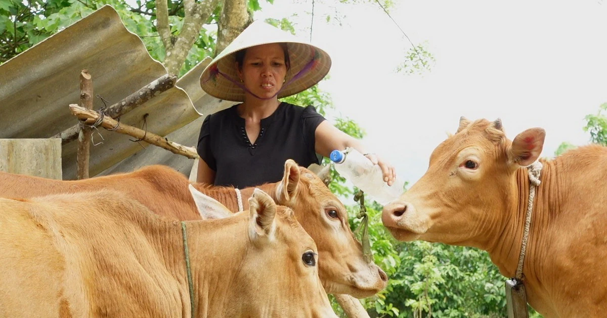 chu tich nuoc dong y sua hiep dinh tai tro du an phat trien khu vuc bien gioi