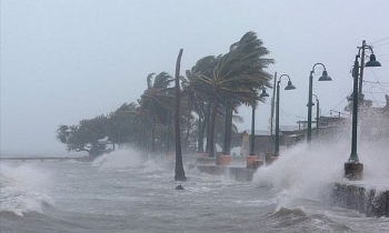 Dự kiến phải di dời khoảng 500.000 cư dân nằm trong diện rủi ro khi bão số 5 đổ bộ