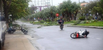 bao so 9 giat do cay xanh nha toc mai tai da nang quang nam quang ngai