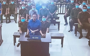 vi sao vo duong nhue xin giam an