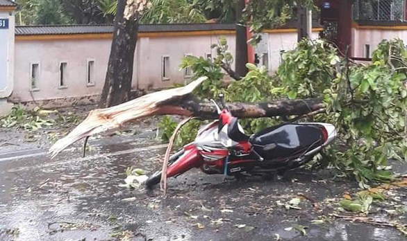 hue bao so 5 khien mot nguoi tu vong vi bi cay do de