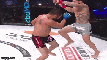 Video: Võ sĩ MMA tung đòn gối bay đầy uy lực khiến đối thủ đổ gục xuống sàn đấu