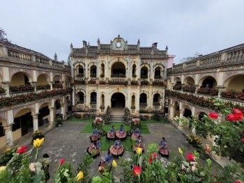 lao cai to chuc le hoi tinh yeu va hoa hong