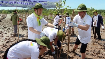 bao ve rung ngap man kim son la phoi xanh cua ninh binh