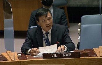 viet nam de xuat bao ve tre em bi chia cat khoi gia dinh trong xung dot vu trang