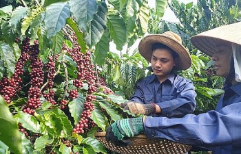 cac hoi huu nghi thuc day ket noi mo cua de hang viet vao thi truong nga