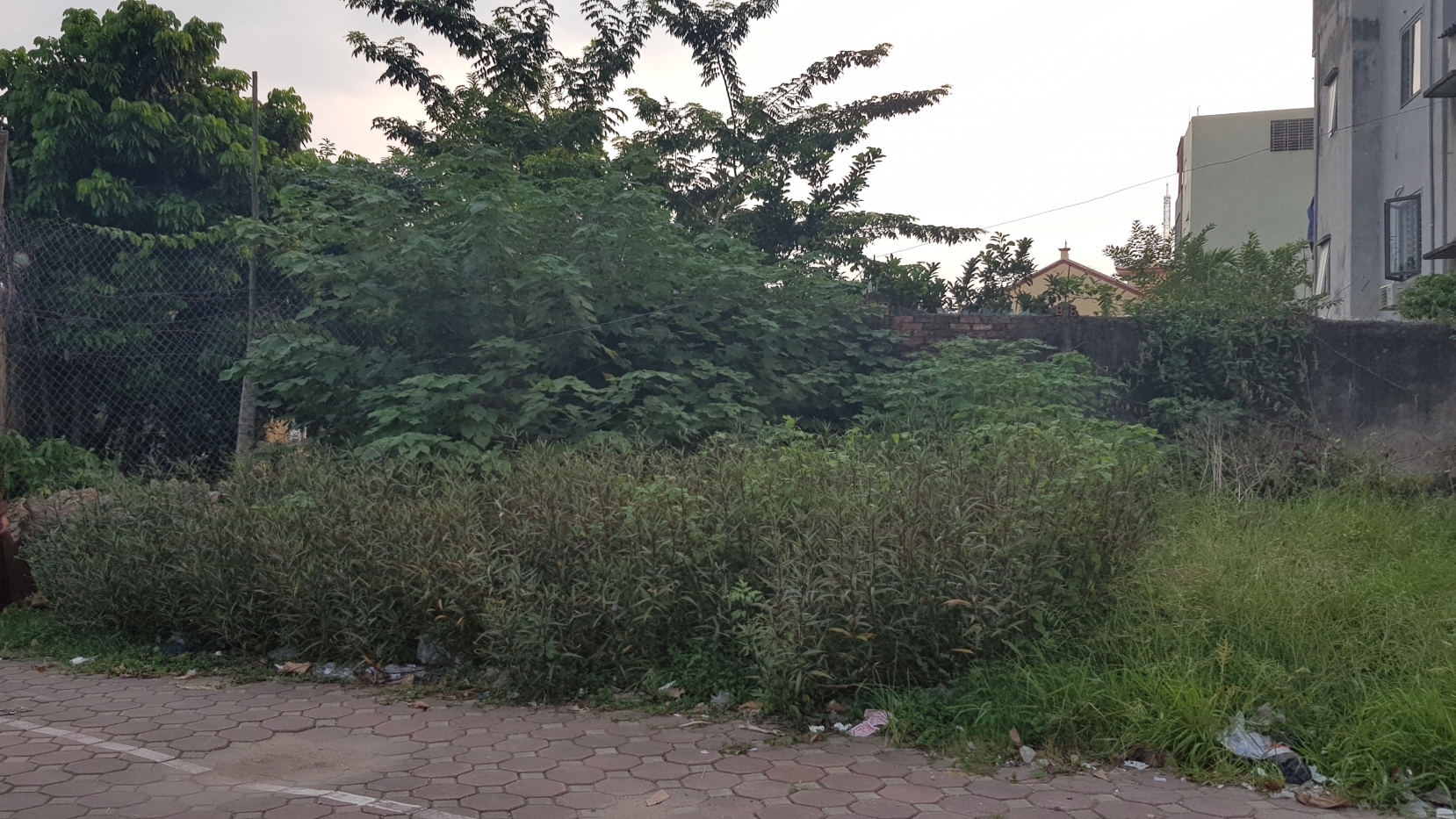 Đất lấn chiếm di tích lịch sử vẫn được hướng dẫn làm thủ tục cấp “sổ đỏ”?