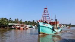 ngu dan can tuan thu nghiem quy dinh de khac phuc the vang iuu trong thang 102019