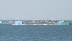 ninh thuan kien quyet di doi long be nuoi thuy san an ngu bai bien binh son