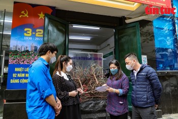 ha noi mang dao tet den tan nha cho cac f0