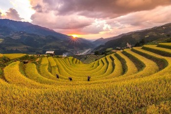 luong tim kiem ve du lich viet nam tang nhanh nhat the gioi