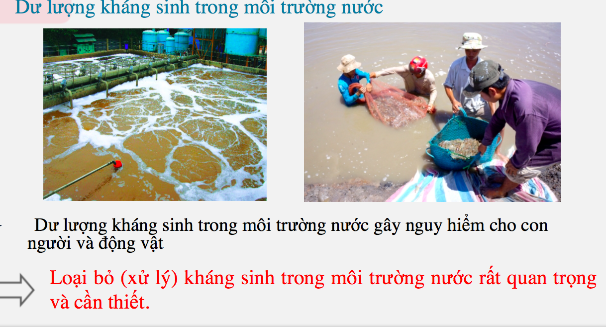 Từ phế thải nông nghiệp, sinh viên nghiên cứu thành công trình khoa học ứng dụng cao