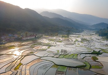ngo ngang truoc nhung thua ruong bac thang hop thanh mua nuoc do