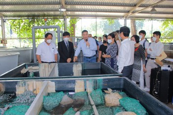 Israel trao tặng hệ thống lọc nước tuần hoàn tại Thành phố Hồ Chí Minh