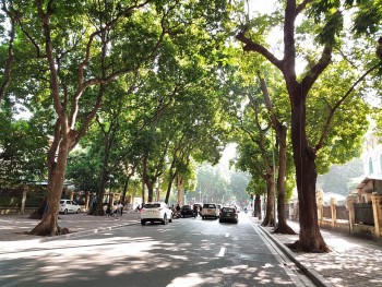 thoi tiet ngay 21042022 mien bac chuan bi don dot nang nong moi