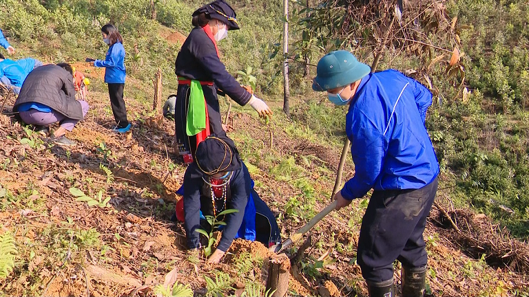 ngan hang the gioi viet nam giam ngheo an tuong