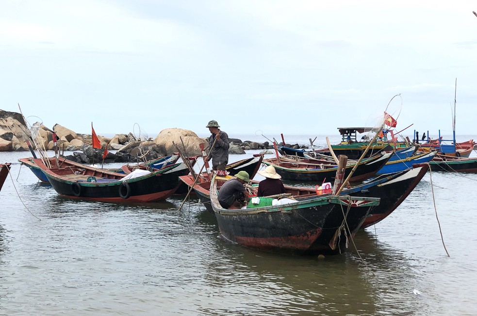 Ngư dân Kỳ Xuân trúng mùa cá mờm cơm