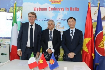 Năm giải pháp thúc đẩy thương mại Việt Nam - Italy