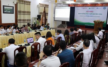 Helvetas Việt Nam phối hợp tổ chức Hội thảo định hướng phát triển quế bền vững tại Yên Bái