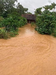 Ngập lụt ở Đồng Nai: Di dời 700 hộ dân