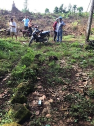 ‘Cò’ đất chết bí ẩn trong vườn điều ở Đồng Nai