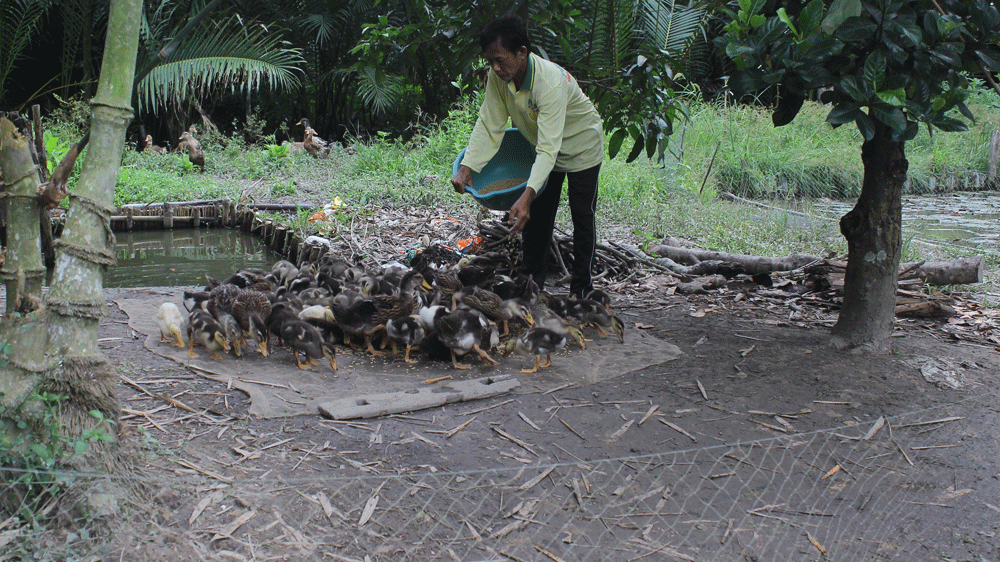 thuc hien tot cac chinh sach tao nen nhieu doi thay o vung dong bao dan toc khmer