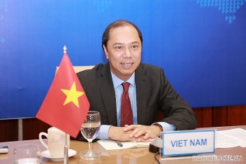 viet nam tiep tuc la mot huong uu tien cao cua duc trong hop tac voi khu vuc