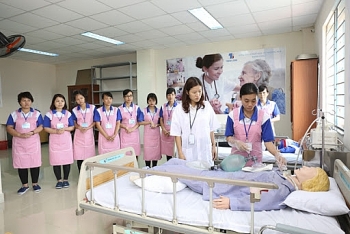 tiep tuc phai cu thuc tap sinh ho ly sang nhat ban