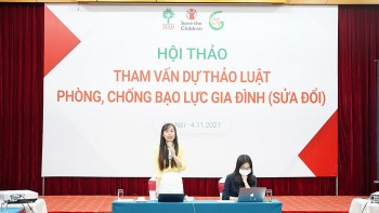 cac to chuc xa hoi dong gop nhieu y kien cho du thao luat phong chong bao luc gia dinh sua doi