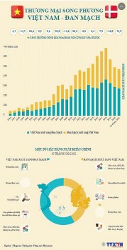 Thương mại song phương Việt Nam - Đan Mạch tăng 5,8 lần trong giai đoạn 2000-2020