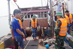 Bắt tàu giã cào tận diệt thủy sản trên vùng biển Thừa Thiên-Huế