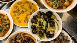 ru nhau ve hai phong vua ngam canh vua thuong thuc nhung dac san di vao long nguoi