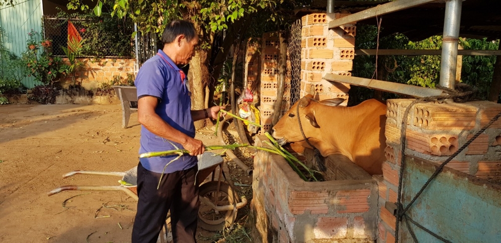 Hành trình từ kẻ lầm lỗi theo Fulro trở thành người uy tín trong làng Rai