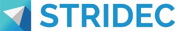 stridec worldwide ung ho seo tro thanh trong tam cua chien luoc tiep thi truc tuyen cua doanh nghiep hien dai