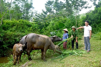 phuong phap giup giam ngheo doc dao cua tuyen quang