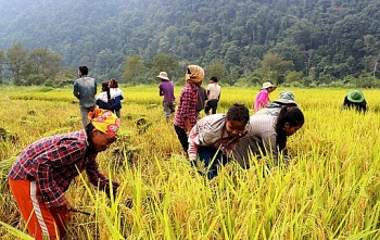 nhung bai hoc kinh nghiem tu cong tac giam ngheo ben vung