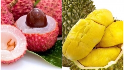 Ăn những loại trái cây này sẽ khiến nồng độ cồn tăng
