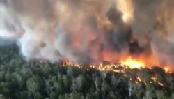 Video: Cận cảnh vụ cháy rừng thiêu sống nửa tỷ động vật ở Australia