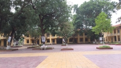 vinh phuc nu sinh duong tinh virus corona van di hoc khi u benh
