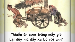 on ngu van thi quoc gia chi can moi ngay 1 gio