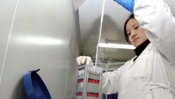 hang chuc ngan hang tinh trung viet nam dang doi con giong