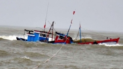 Bão số 3: 14 tàu Quảng Bình mất liên lạc khi di chuyển về phía đảo Hải Nam